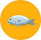 name